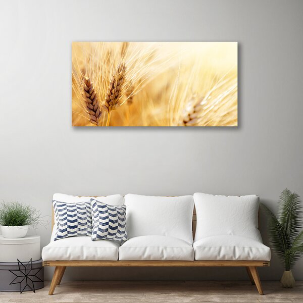 Quadro su tela Grano vegetale naturale 100x50 cm