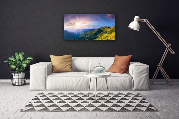 Quadro su tela Paesaggio del sole del prato di montagna 100x50 cm