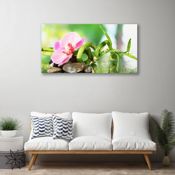 Foto quadro su tela Bambù Stelo Pianta Natura 100x50 cm