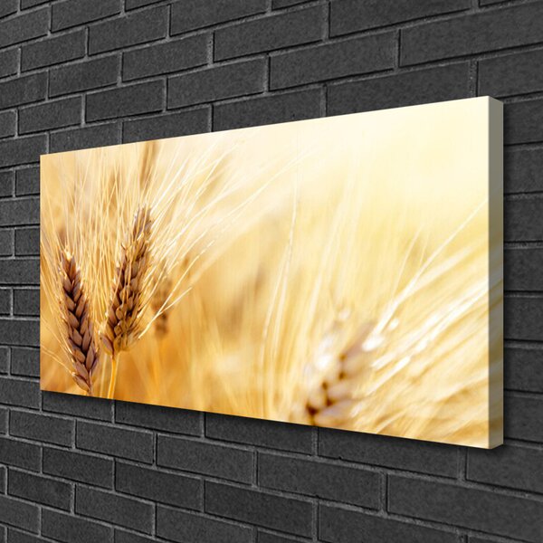 Quadro su tela Grano vegetale naturale 100x50 cm
