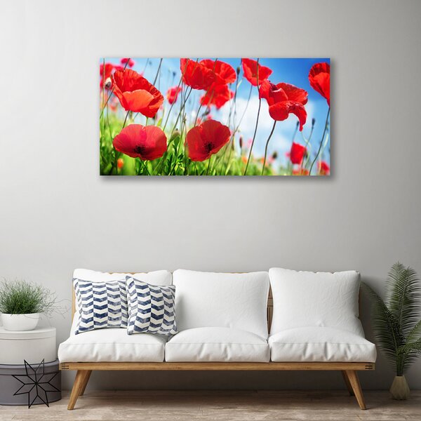 Quadro su tela Natura, papaveri, piante 100x50 cm