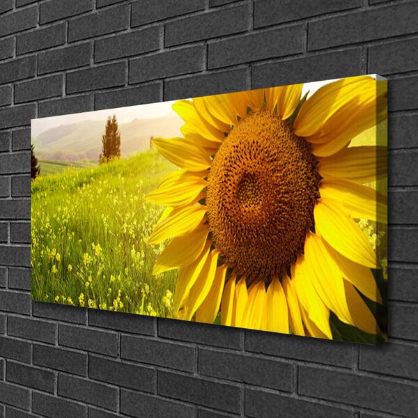 Quadro su tela Pianta di fiori di girasole 100x50 cm