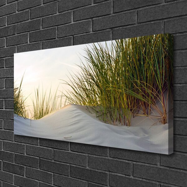 Quadro su tela Sabbia, erba, paesaggio 100x50 cm
