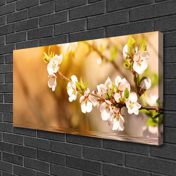 Stampa quadro su tela Fiori, piante, natura 100x50 cm
