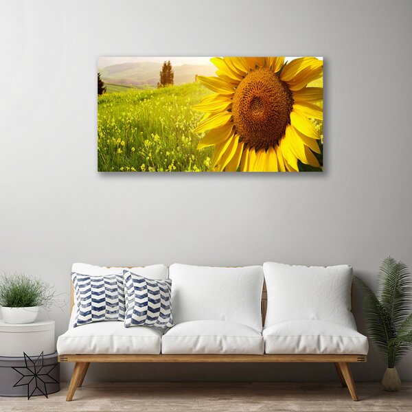 Quadro su tela Pianta di fiori di girasole 100x50 cm