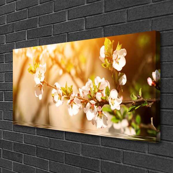 Quadro su tela Fiori, piante, natura 100x50 cm