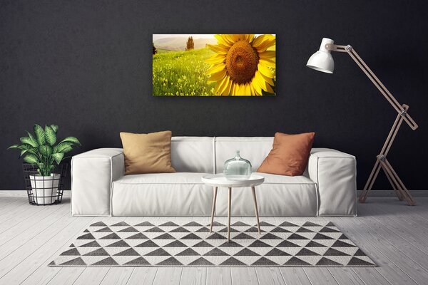 Quadro su tela Pianta di fiori di girasole 100x50 cm
