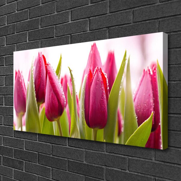 Quadro su tela Tulipani, fiori, piante 100x50 cm