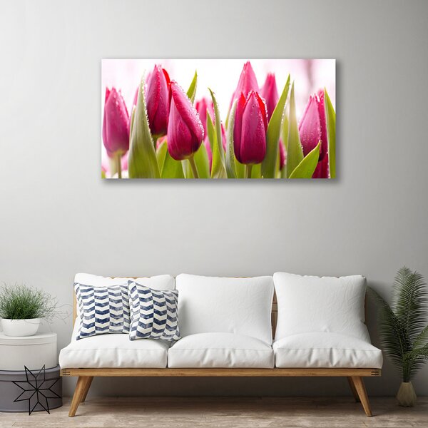 Quadro su tela Tulipani, fiori, piante 100x50 cm