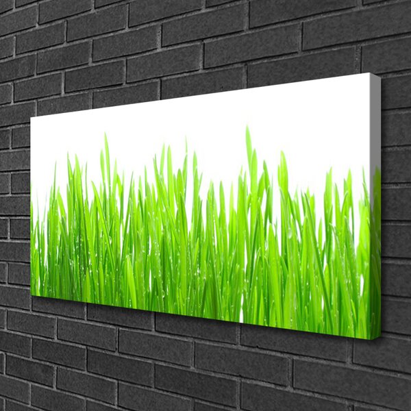 Quadro su tela Erba, piante, natura 100x50 cm