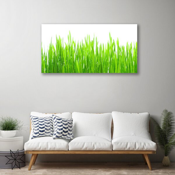 Quadro su tela Erba, piante, natura 100x50 cm