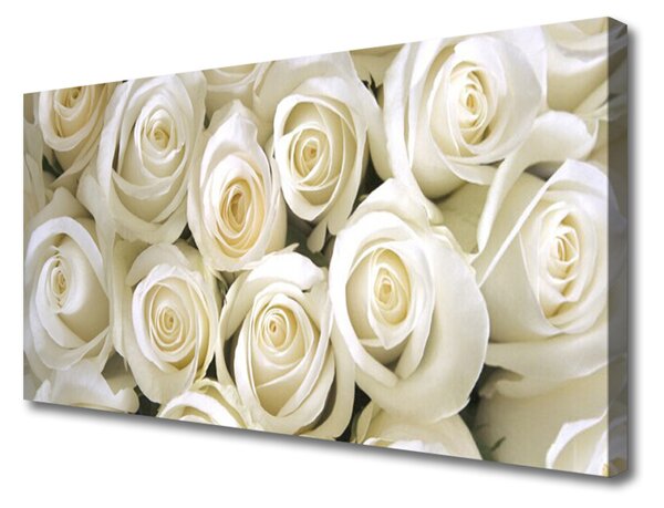 Quadro su tela Rose, fiori, piante 100x50 cm