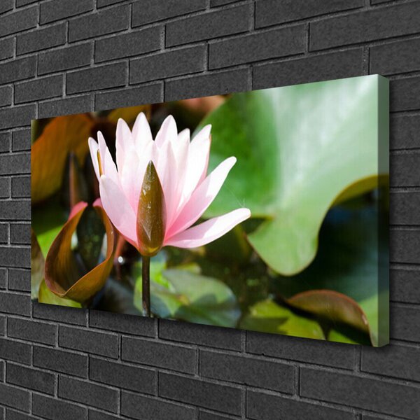 Quadro su tela Fiore, pianta, natura 100x50 cm