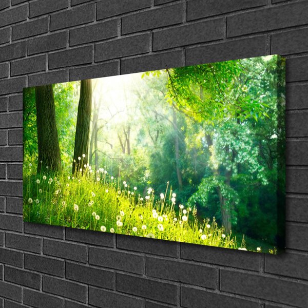 Quadro su tela Pianta della natura del prato 100x50 cm