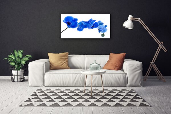 Quadro su tela Fiore, pianta, natura 100x50 cm