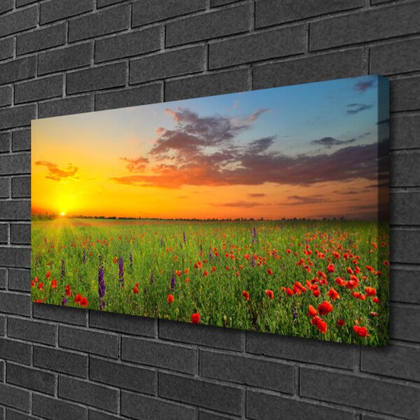 Quadro su tela Sole. Prato. Fiori. Natura 100x50 cm