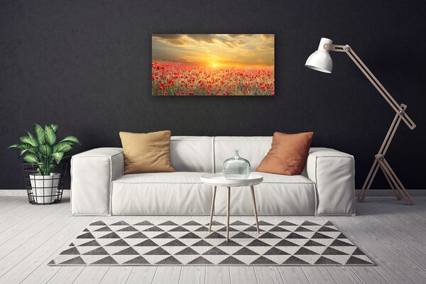 Quadro su tela Fiori di papavero del prato del sole 100x50 cm