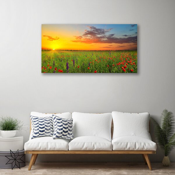 Quadro su tela Sole. Prato. Fiori. Natura 100x50 cm