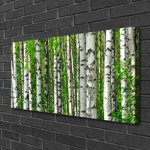 Quadro su tela Foresta, piante, natura 100x50 cm