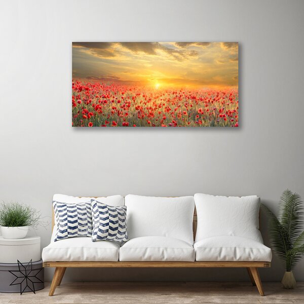 Quadro su tela Fiori di papavero del prato del sole 100x50 cm