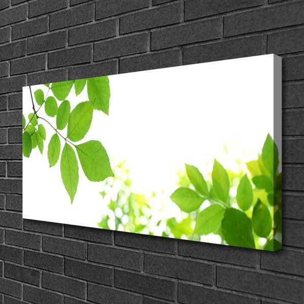 Quadro su tela I petali della pianta La natura 100x50 cm
