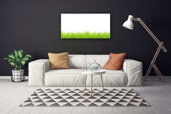 Foto quadro su tela Erba, piante, natura 100x50 cm