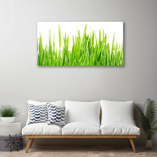 Quadro su tela Erba, piante, natura 100x50 cm