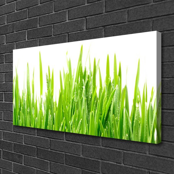 Quadro su tela Erba, piante, natura 100x50 cm