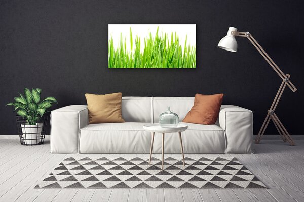 Quadro su tela Erba, piante, natura 100x50 cm