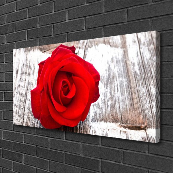 Quadro su tela Natura della pianta del fiore della rosa 100x50 cm