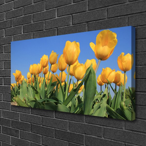 Quadro su tela Tulipani, fiori, piante 100x50 cm