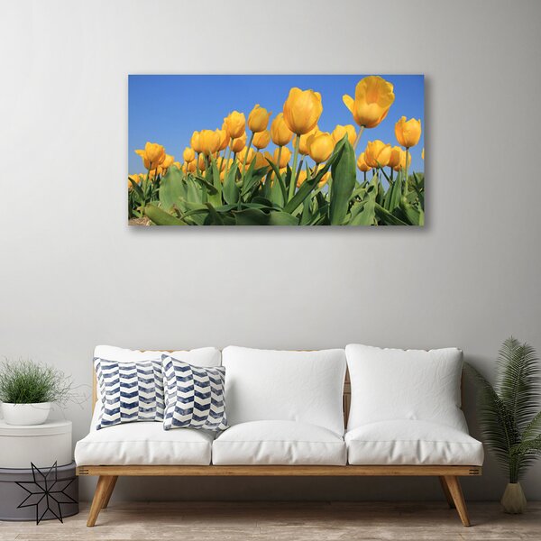 Quadro su tela Tulipani, fiori, piante 100x50 cm