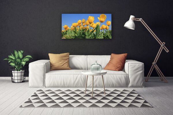 Quadro su tela Tulipani, fiori, piante 100x50 cm
