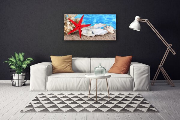 Quadro su tela Stelle marine, conchiglie, natura 100x50 cm