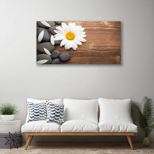 Quadro su tela Margherita Petali Di Una Pianta 100x50 cm