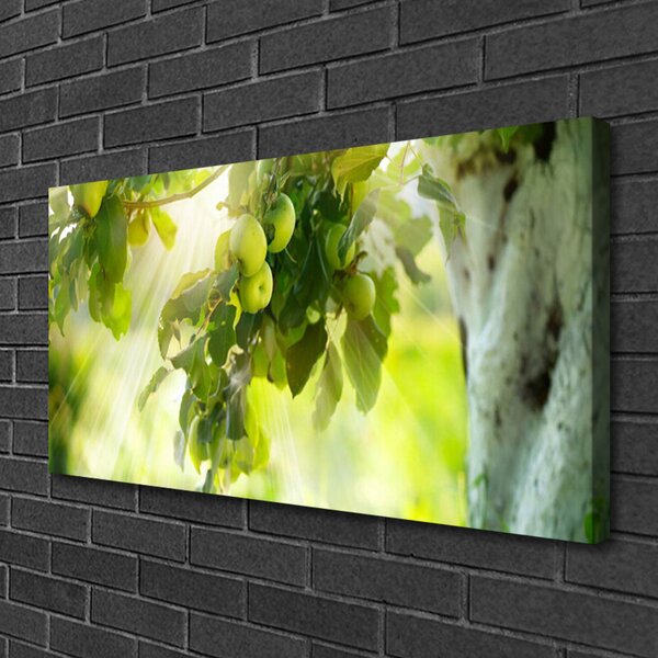 Quadro su tela Mele, un ramo di un albero, la natura 100x50 cm