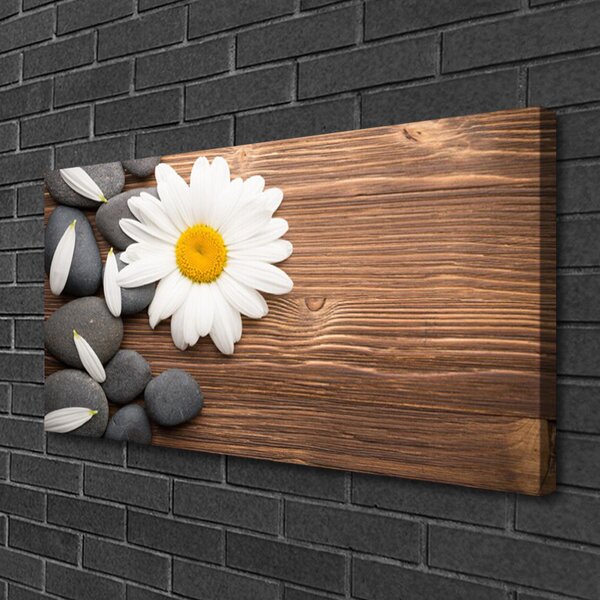 Quadro su tela Margherita Petali Di Una Pianta 100x50 cm