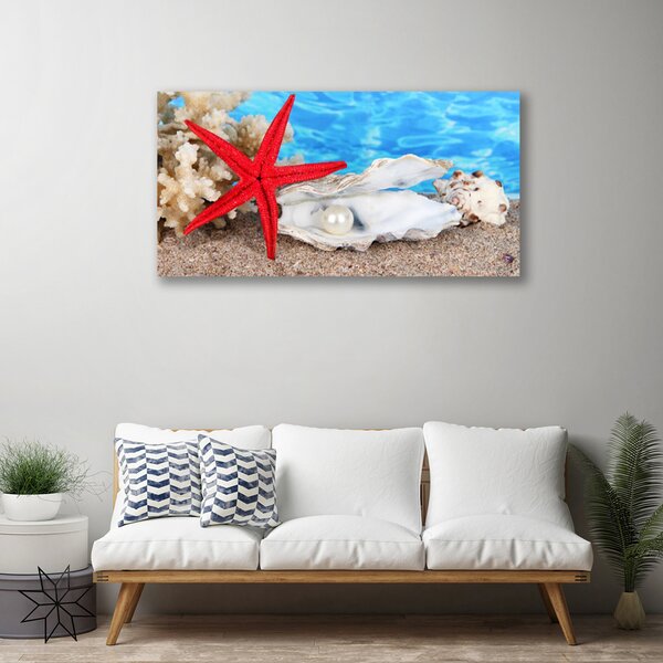 Quadro su tela Stelle marine, conchiglie, natura 100x50 cm