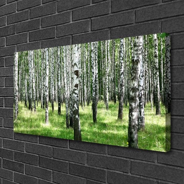 Stampa quadro su tela Foresta. Erba. Pianta. Natura 100x50 cm