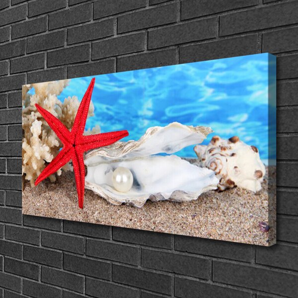 Quadro su tela Stelle marine, conchiglie, natura 100x50 cm