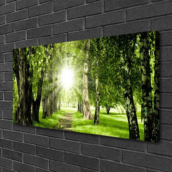 Quadro su tela Foresta. Sole. Sentiero. Natura 100x50 cm