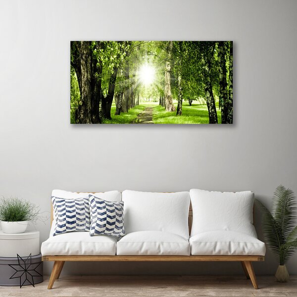 Quadro su tela Foresta. Sole. Sentiero. Natura 100x50 cm