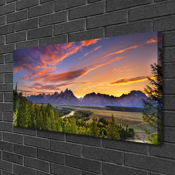 Quadro su tela Montagna. Foresta. Sole. Natura 100x50 cm