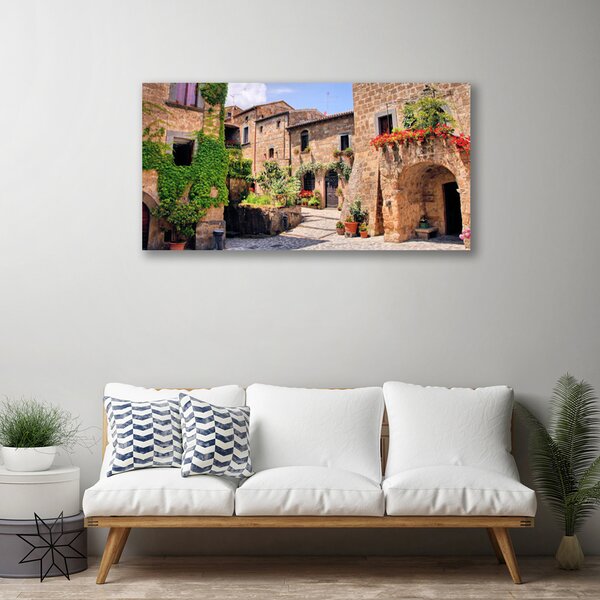 Foto quadro su tela Vicolo. Fiori. Case 100x50 cm