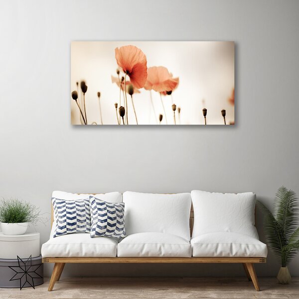 Quadro su tela Natura, papaveri, piante 100x50 cm