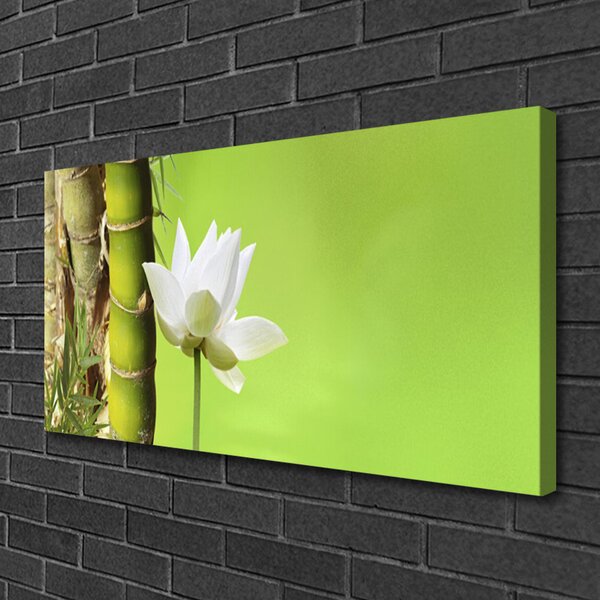 Quadro su tela Bambù Stelo Pianta Natura 100x50 cm