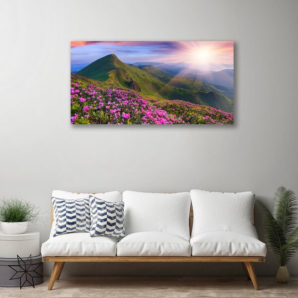 Quadro su tela Montagne. Prato. Fiori. Paesaggio 100x50 cm