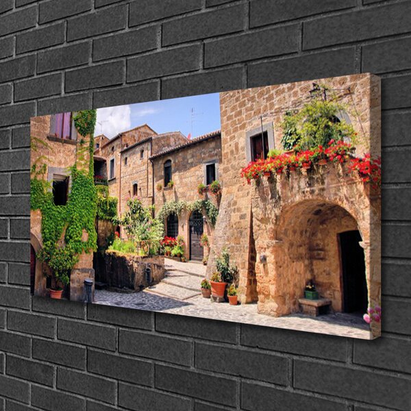 Foto quadro su tela Vicolo. Fiori. Case 100x50 cm