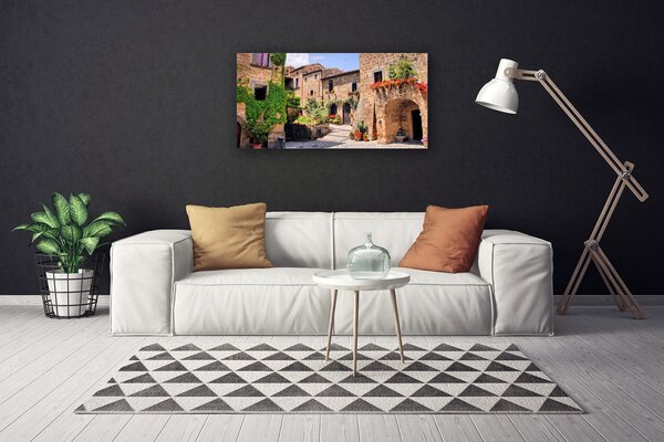 Foto quadro su tela Vicolo. Fiori. Case 100x50 cm