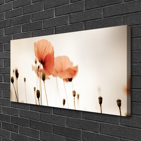 Quadro su tela Natura, papaveri, piante 100x50 cm